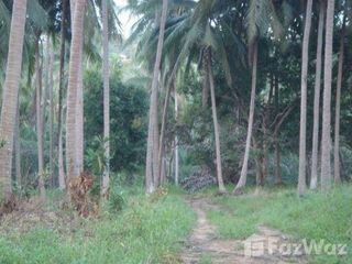 For sale land in Ko Samui, Surat Thani