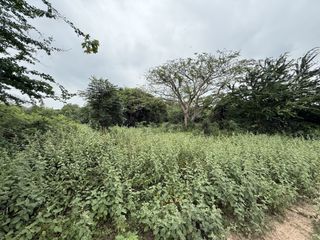 Terreno en venta en Hua Hin, Prachuap Khiri Khan