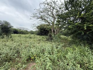 Terreno en venta en Hua Hin, Prachuap Khiri Khan