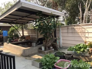 Haus zur Miete mit 3 Zimmer in San Sai, Chiang Mai