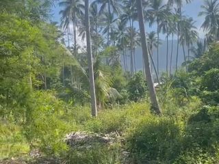 Grundstück zum Kauf in Ko Samui, Surat Thani