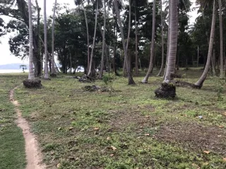 出售 土地 在 Ko Lanta, Krabi