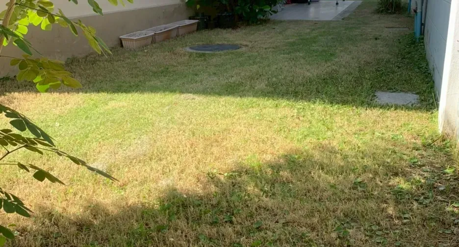 Haus zur Miete mit 3 Zimmer in Saraphi, Chiang Mai