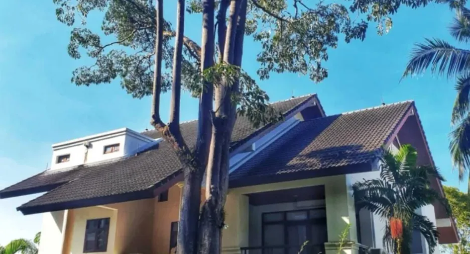 For rent 3 bedrooms villa in Thalang, Phuket