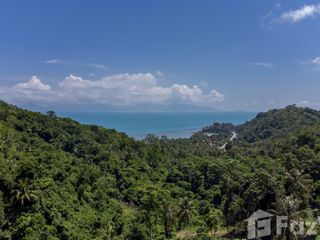 出售 土地 
