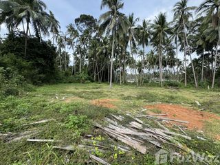 For sale land in Ko Samui, Surat Thani