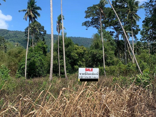 For sale land in Ko Samui, Surat Thani