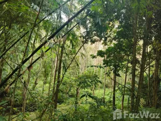 For sale land in Thalang, Phuket