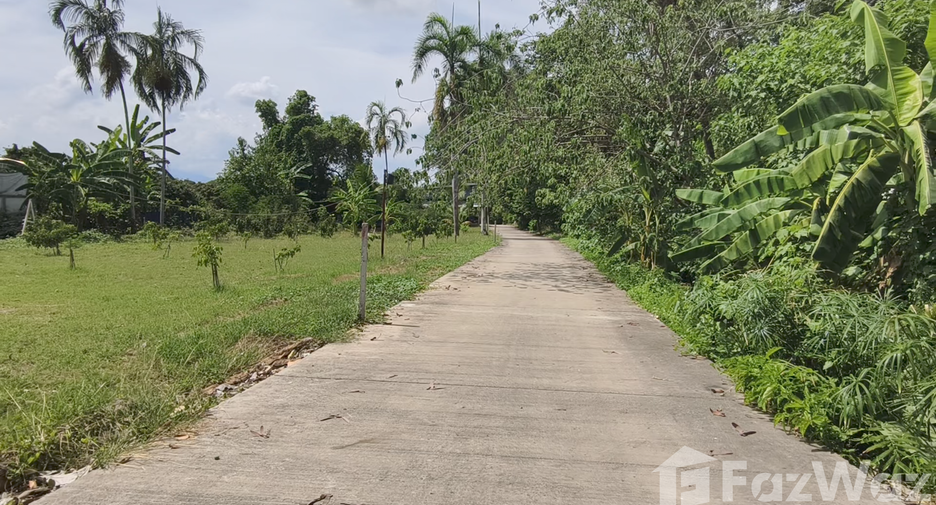 For sale land in Saraphi, Chiang Mai