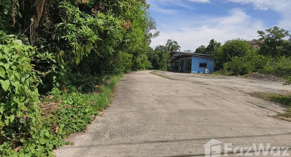 For sale land in Saraphi, Chiang Mai