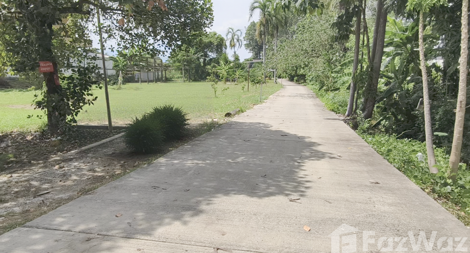 For sale land in Saraphi, Chiang Mai