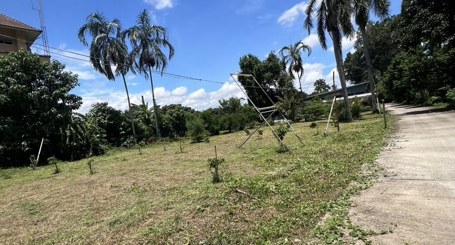 For sale land in Saraphi, Chiang Mai