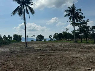 Grundstück zum Kauf in Ko Samui, Surat Thani