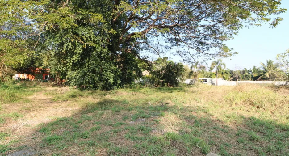ขาย ที่ดิน ใน เมืองอุดรธานี, อุดรธานี