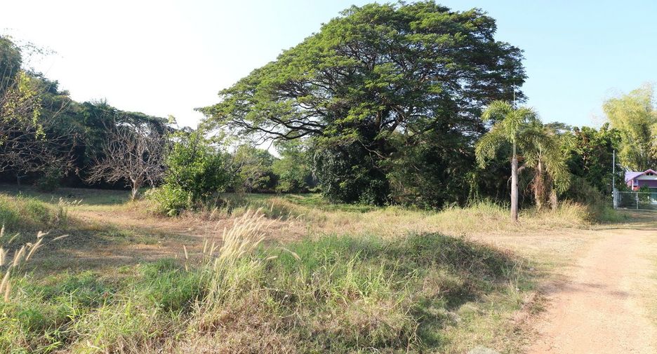 ขาย ที่ดิน ใน เมืองอุดรธานี, อุดรธานี