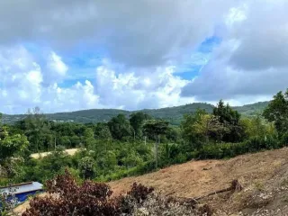 For sale land in Thalang, Phuket