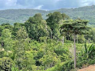 For sale land in Thalang, Phuket