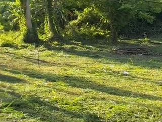 For sale land in Ko Samui, Surat Thani