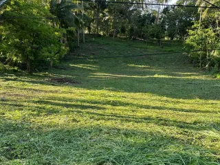 For sale land in Ko Samui, Surat Thani