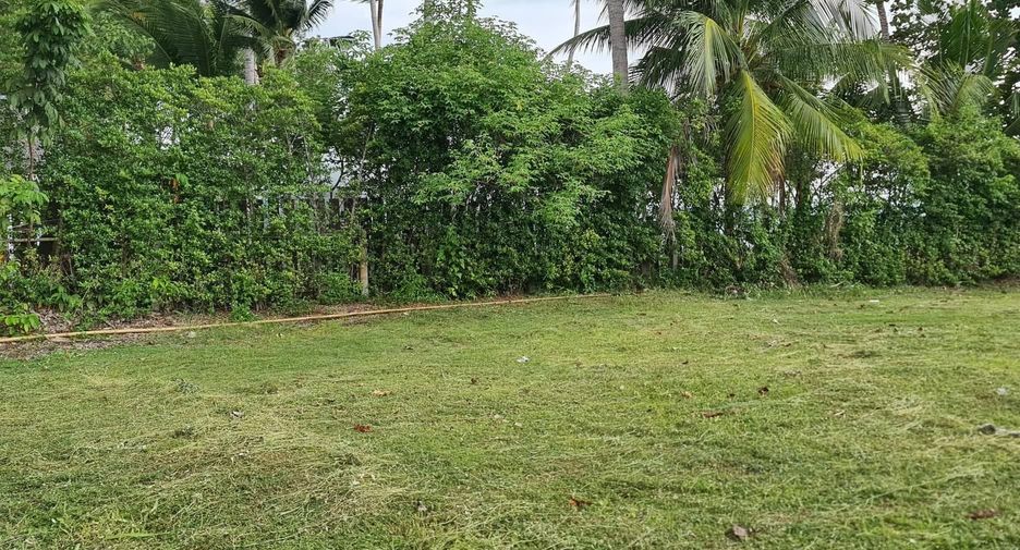 For sale land in Ko Samui, Surat Thani