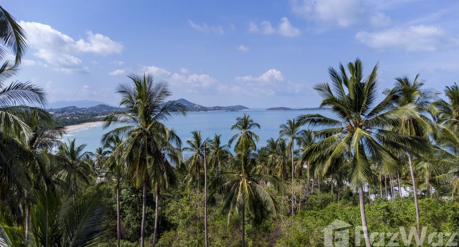 Terreno en venta en Ko Samui, Surat Thani
