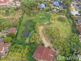 For sale land in Mae Rim, Chiang Mai