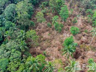 For sale land in Ko Samui, Surat Thani