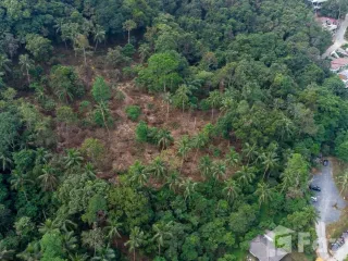 For sale land in Ko Samui, Surat Thani
