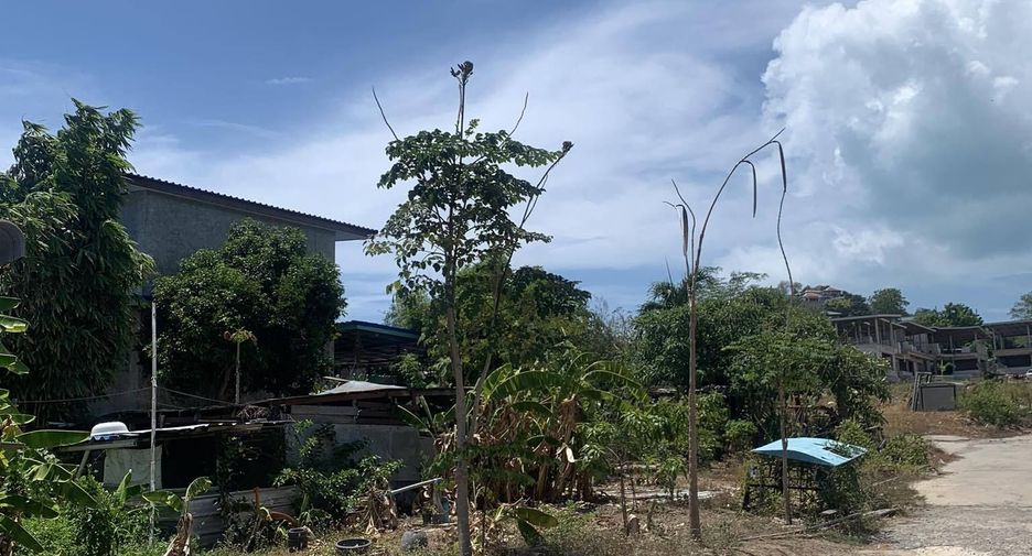 For sale land in Ko Samui, Surat Thani
