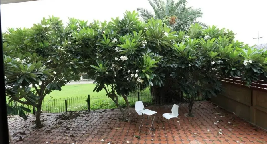 For sale 5 bedrooms house in San Sai, Chiang Mai
