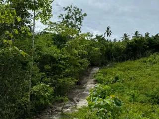 Grundstück zum Kauf in Ko Samui, Surat Thani