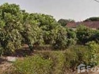 ขาย ที่ดิน ใน แม่แตง, เชียงใหม่
