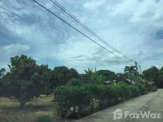 ขาย ที่ดิน ใน แม่แตง, เชียงใหม่