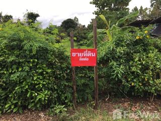 ขาย ที่ดิน ใน แม่แตง, เชียงใหม่