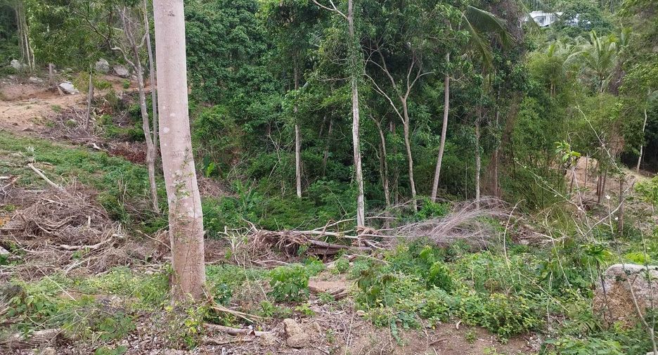 For sale land in Ko Samui, Surat Thani