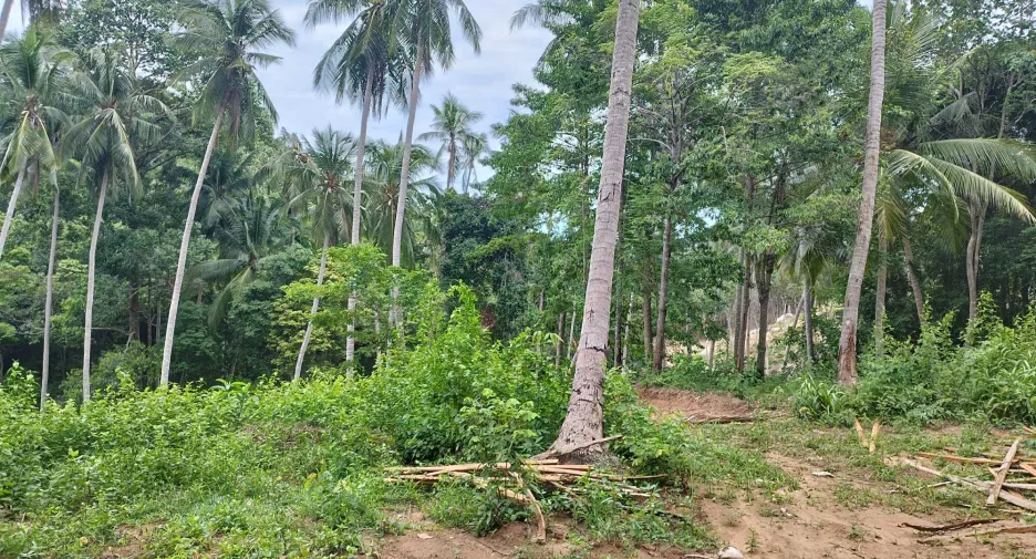 For sale land in Ko Samui, Surat Thani