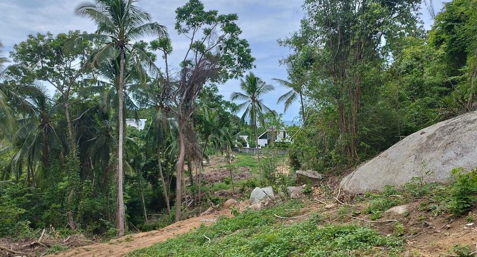 For sale land in Ko Samui, Surat Thani
