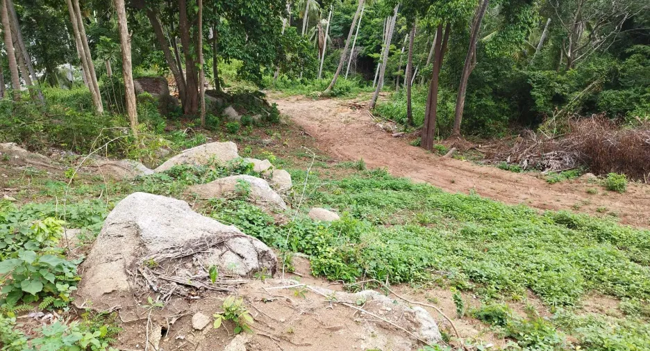 For sale land in Ko Samui, Surat Thani