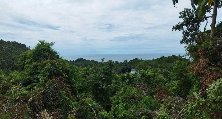 For sale land in Ko Samui, Surat Thani