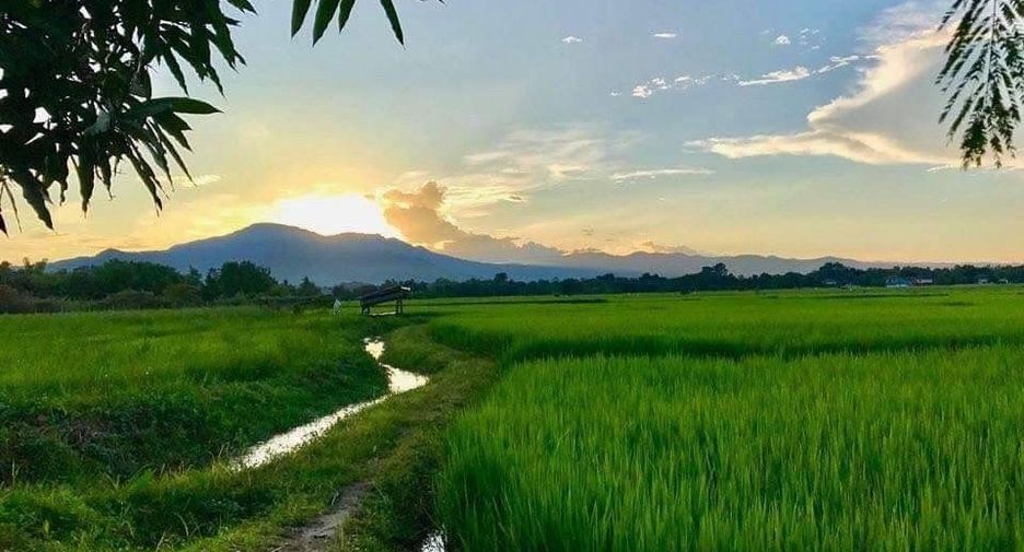 For sale 4 bedrooms house in Mae Rim, Chiang Mai