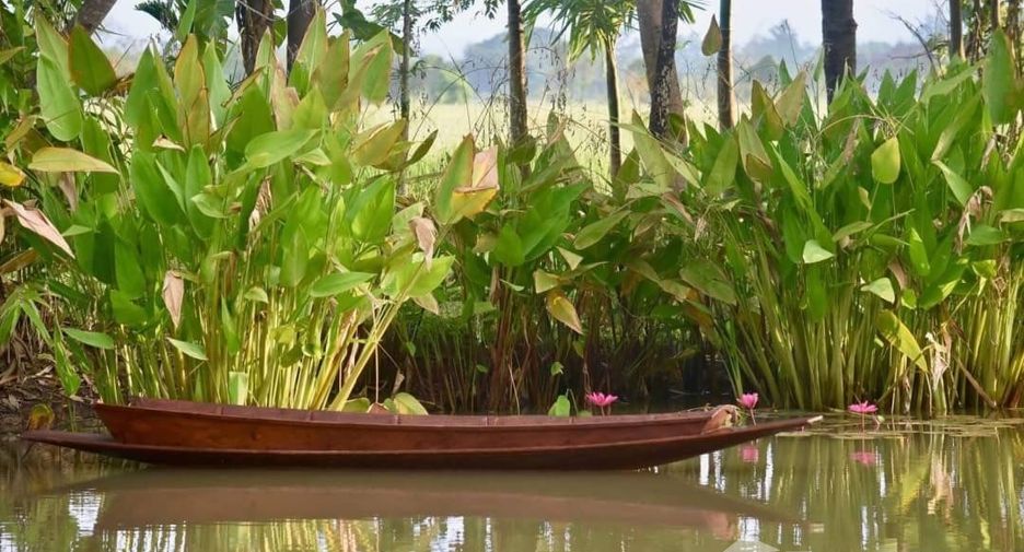 For sale 4 bedrooms house in Mae Rim, Chiang Mai