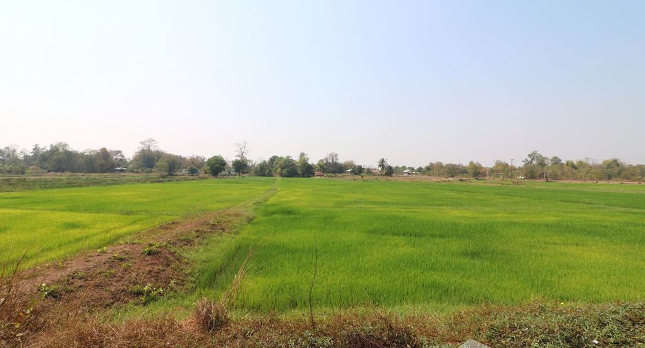 For sale 3 bedrooms house in Tha Bo, Nong Khai