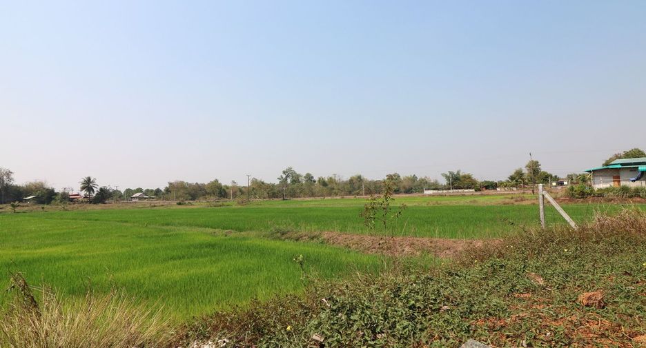 For sale 3 bedrooms house in Tha Bo, Nong Khai