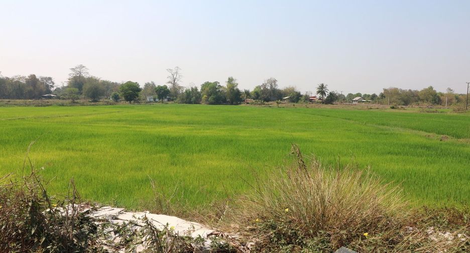 For sale 3 bedrooms house in Tha Bo, Nong Khai