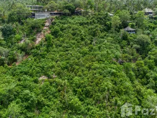 出售 土地 在 苏梅岛, 素叻
