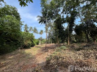 Terreno en venta en Ko Samui, Surat Thani