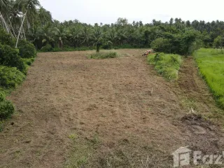 For sale land in Bang Saphan, Prachuap Khiri Khan