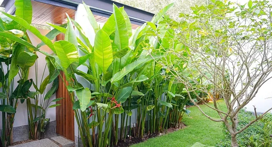 For sale 4 bedrooms villa in Thalang, Phuket