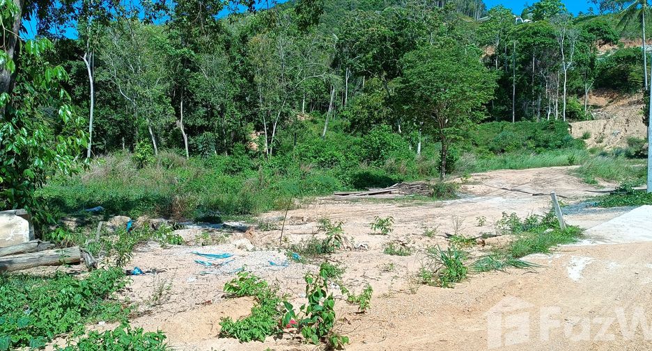 ขาย ที่ดิน ใน เกาะสมุย, สุราษฎร์ธานี