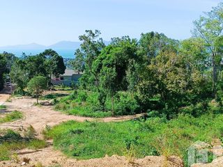 ขาย ที่ดิน ใน เกาะสมุย, สุราษฎร์ธานี